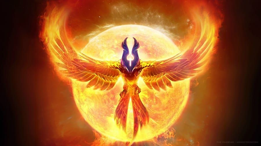 Profil de Metin